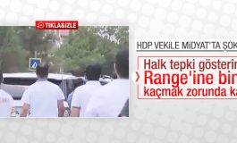 HDP'li Altan Tan Midyat'tan kovuldu